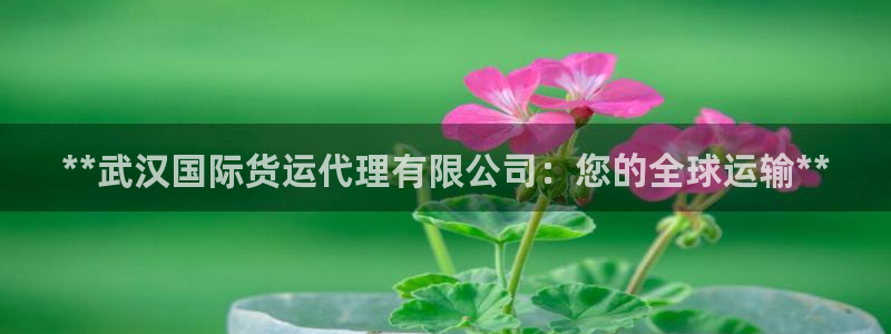 尊龙人生就是博管网：**武汉国际货运代理有限公司：您的全