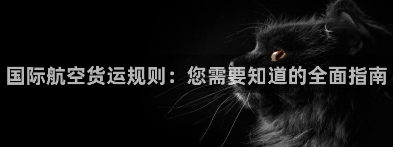 尊龙人生就是博网站下载：国际航空货运规则：您需要知道的全