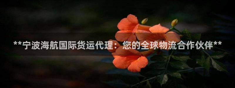 尊龙软件下载：**宁波海航国际货运代理：您的全球物流合作