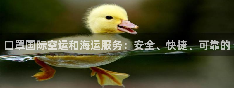 尊龙凯时能做退米么：口罩国际空运和海运服务：安全、快捷、