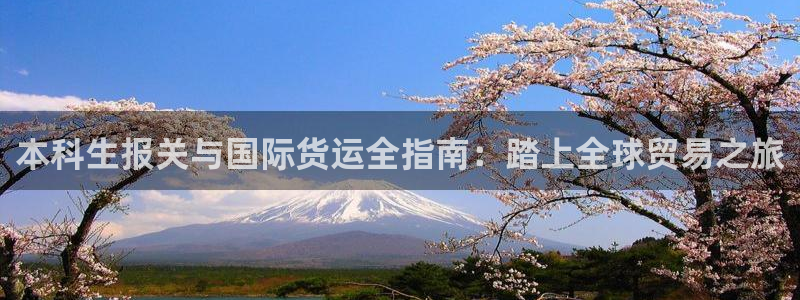 尊龙官网免费下载安装：本科生报关与国际货运全指南：踏上全