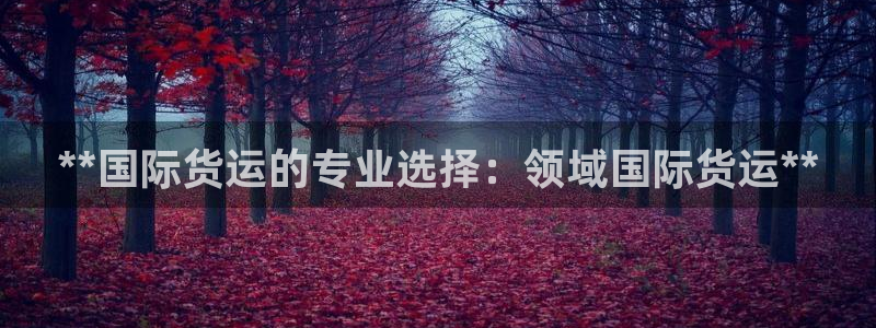 尊龙凯时有封银行卡的吗：**国际货运的专业选择：领域国际