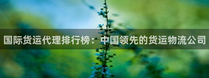 尊龙官网手机版：国际货运代理排行榜：中国领先的货运物流公