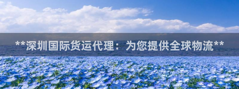 尊龙ag旗舰：**深圳国际货运代理：为您提供全球物流**