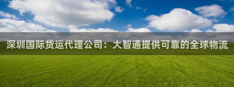尊龙实业：深圳国际货运代理公司：大智通提供可靠的全球物流