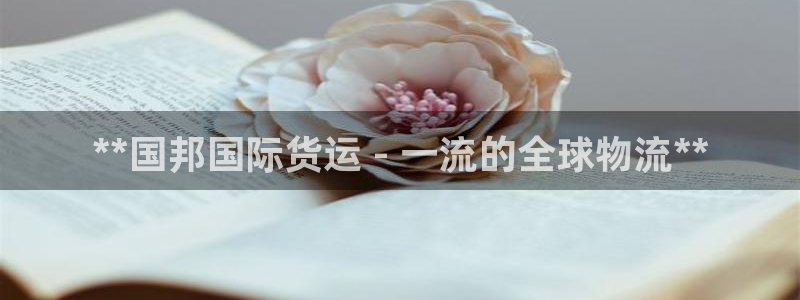 尊龙人生就是博首页入口：**国邦国际货运 - 一流的全球