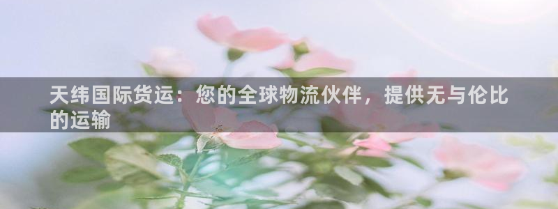 尊龙凯时代理：天纬国际货运：您的全球物流伙伴，提供无与伦