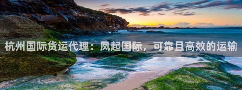 尊龙凯时app安装：杭州国际货运代理：凤起国际，可靠且高