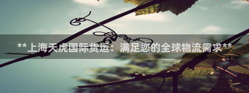 尊龙人生就是博登录网址下载：**上海天虎国际货运：满足您