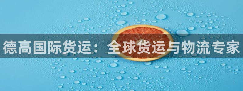 尊龙人生就是博旧版现：德高国际货运：全球货运与物流专家