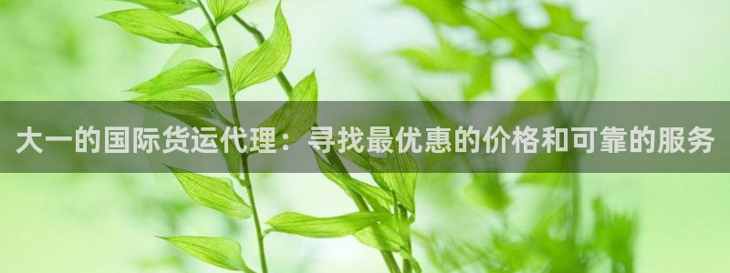 尊龙游戏中心：大一的国际货运代理：寻找最优惠的价格和可靠