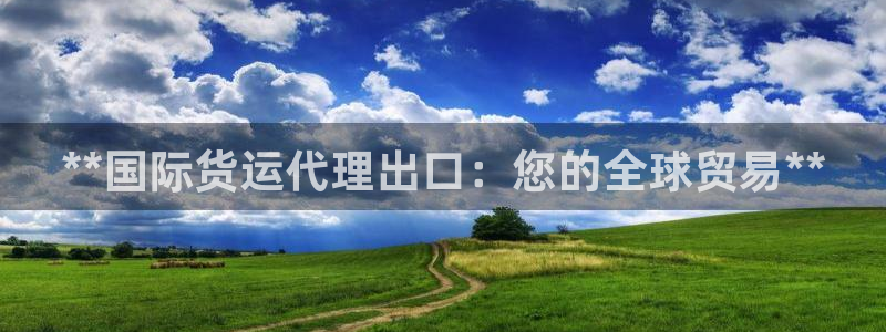 尊龙凯时公司官网：**国际货运代理出口：您的全球贸易**