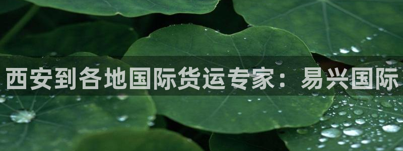 尊龙d88ag旗舰厅：西安到各地国际货运专家：易兴国际