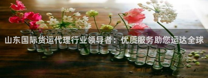 尊龙人生就是博i可靠吗：山东国际货运代理行业领导者：优质