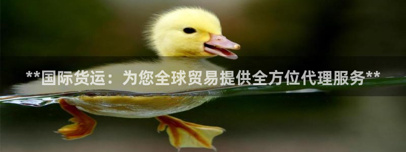 尊龙凯时邀请码：**国际货运：为您全球贸易提供全方位代理