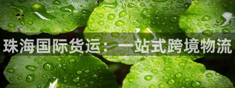 尊龙凯时取钱很慢：珠海国际货运：一站式跨境物流
