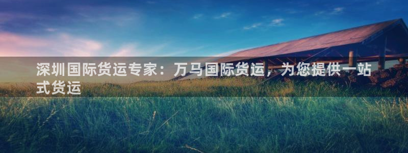 尊龙手机版：深圳国际货运专家：万马国际货运，为您提供一站