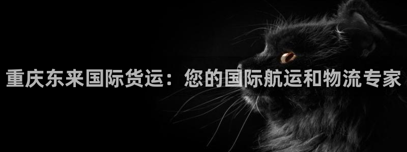尊龙凯时官网入口：重庆东来国际货运：您的国际航运和物流专