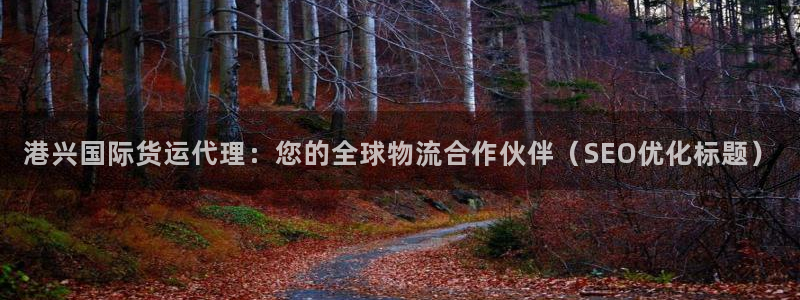 尊龙凯时赞助：港兴国际货运代理：您的全球物流合作伙伴（S