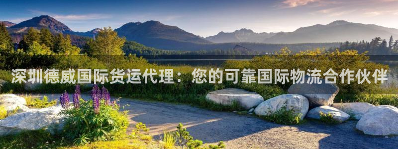 尊龙新版手机app下载：深圳德威国际货运代理：您的可靠国