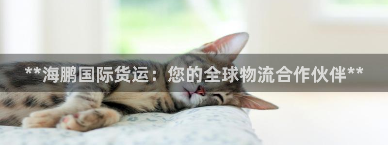 尊龙t600：**海鹏国际货运：您的全球物流合作伙伴**