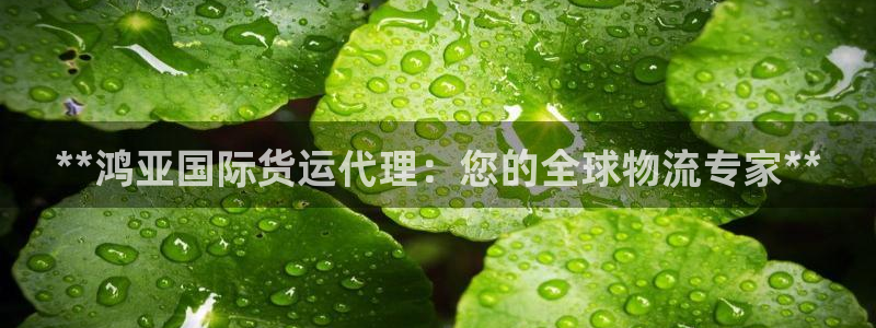 尊龙现金d88：**鸿亚国际货运代理：您的全球物流专家*