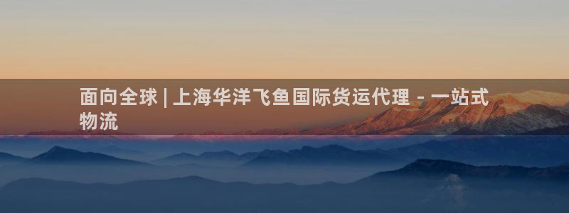 尊龙官网网页版：面向全球 | 上海华洋飞鱼国际货运代理 