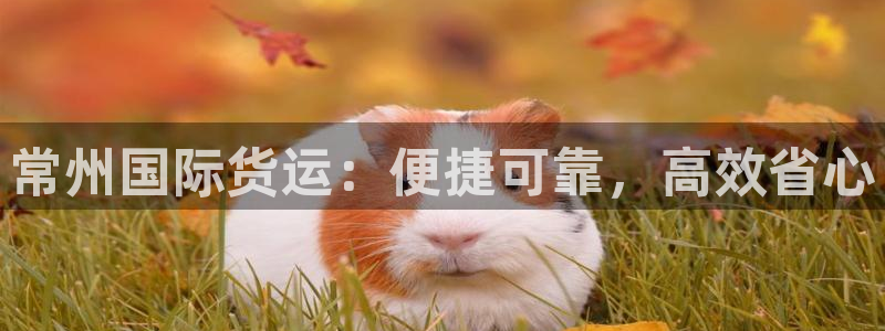 尊龙凯时登陆网址：常州国际货运：便捷可靠，高效省心