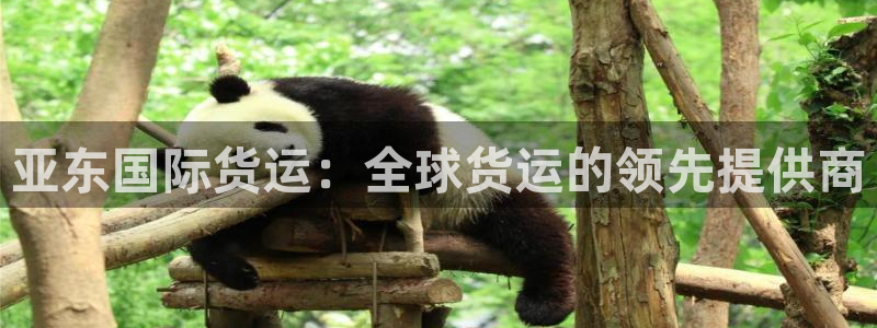 尊龙旗舰厅：亚东国际货运：全球货运的领先提供商