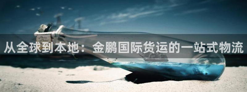 尊龙光学怎么样：从全球到本地：金鹏国际货运的一站式物流