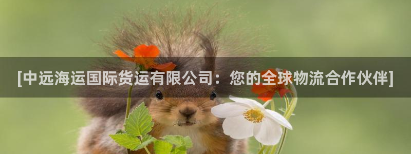 尊龙官网免费下载：[中远海运国际货运有限公司：您的全球物