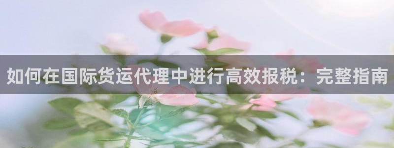 尊龙凯时网站网址：如何在国际货运代理中进行高效报税：完整