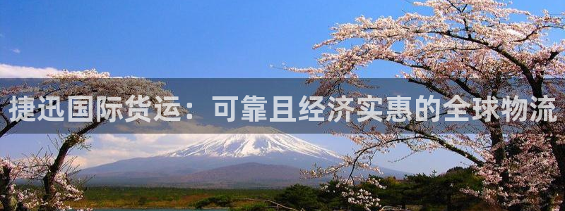 尊龙官网手：捷迅国际货运：可靠且经济实惠的全球物流