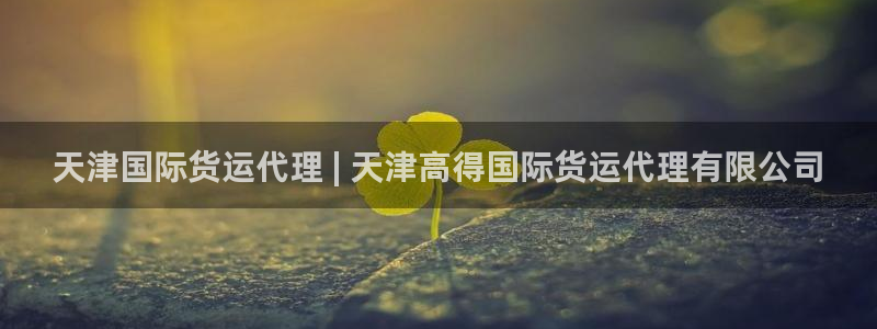 尊龙/人生就是博：天津国际货运代理 | 天津高得国际货运