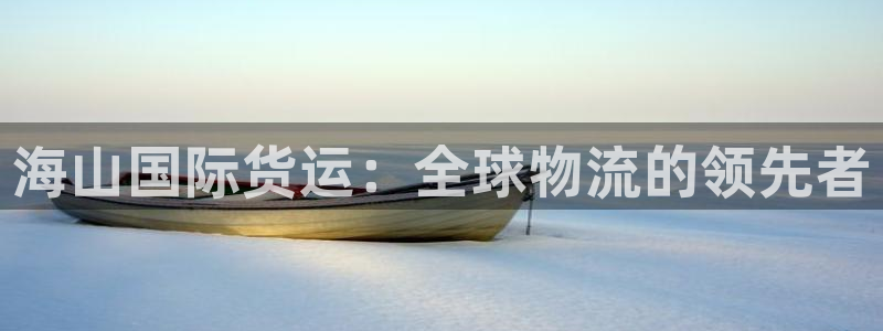 尊龙凯时产品系列：海山国际货运：全球物流的领先者