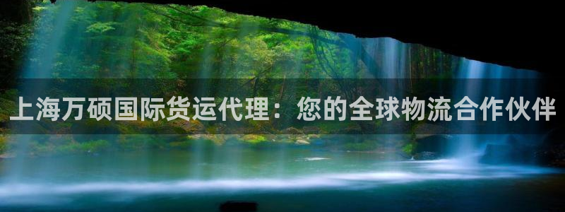 尊龙 10：上海万硕国际货运代理：您的全球物流合作伙伴