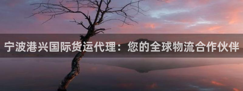 尊龙凯时代理能提出来不：宁波港兴国际货运代理：您的全球物