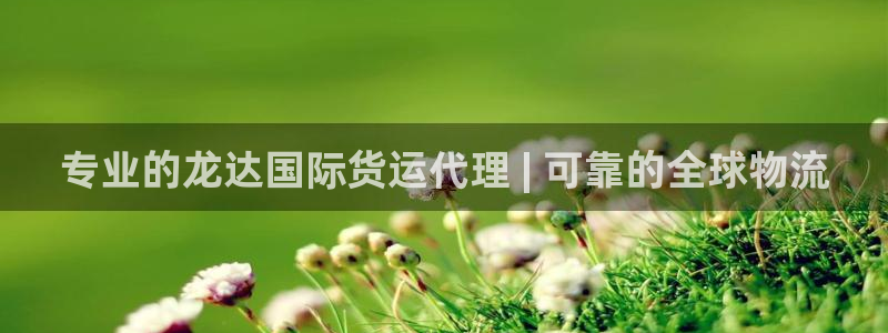 尊龙凯时人生就是博·(中国)：专业的龙达国际货运代理 |