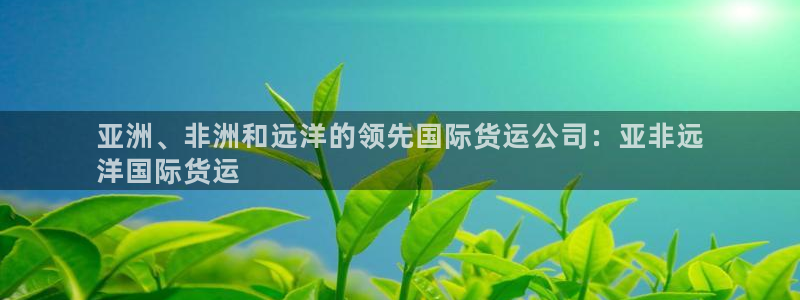 尊龙t400和尊龙t300区别：亚洲、非洲和远洋的领先国