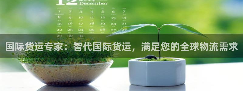尊龙凯时官网平台：国际货运专家：智代国际货运，满足您的全