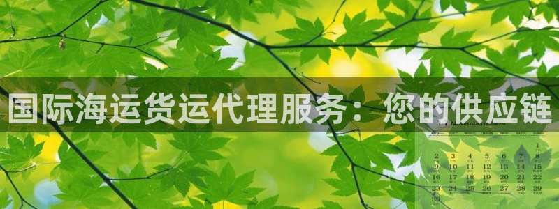 尊龙凯时产品系列：国际海运货运代理服务：您的供应链