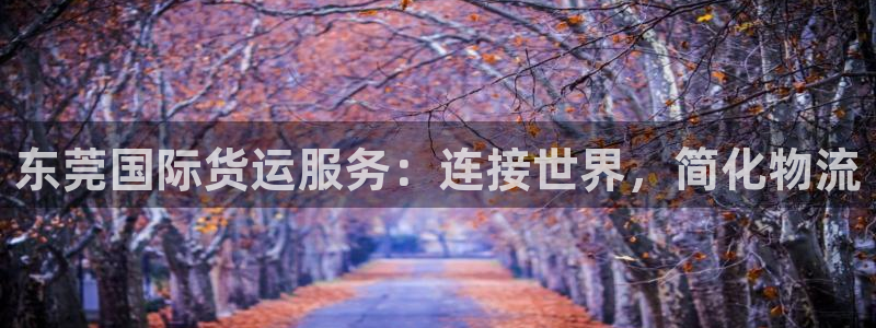 尊龙凯时始人生就是博：东莞国际货运服务：连接世界，简化物