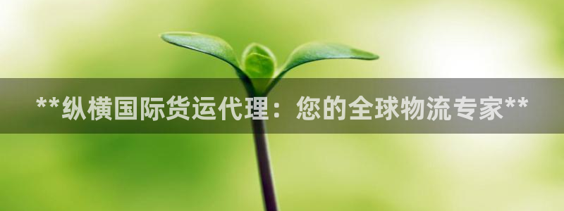 尊龙凯时为什么输了钱：**纵横国际货运代理：您的全球物流