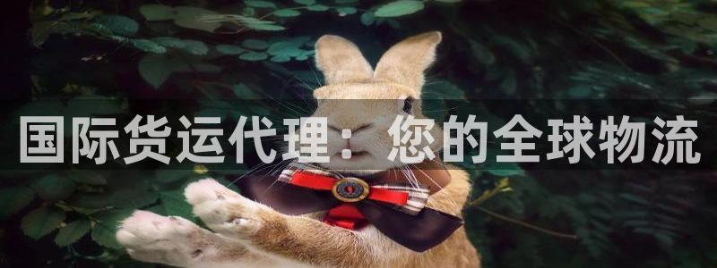 尊龙凯时集团：国际货运代理：您的全球物流