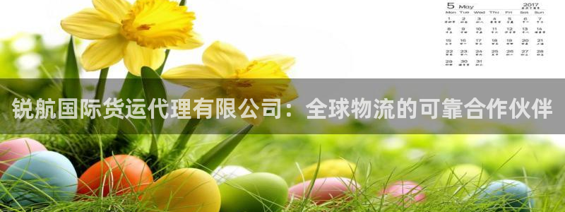 尊龙Ag：锐航国际货运代理有限公司：全球物流的可靠合作伙