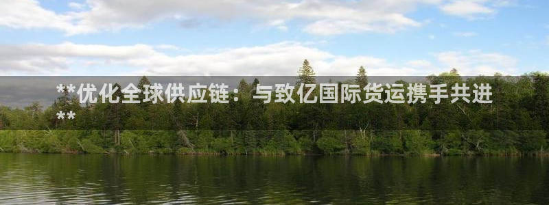 尊龙凯时开发：**优化全球供应链：与致亿国际货运携手共进