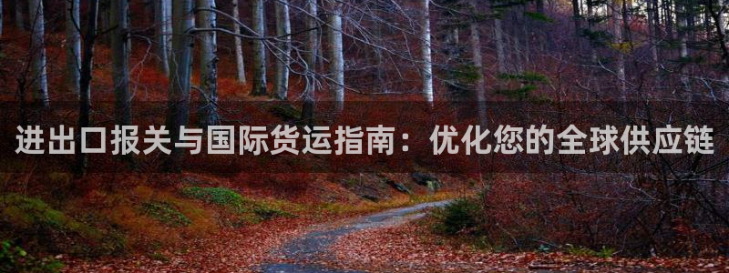尊龙休闲e站怎么样：进出口报关与国际货运指南：优化您的全