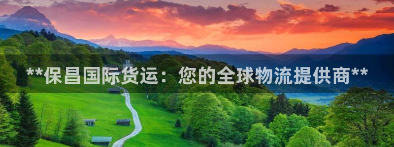 z6尊龙官网：**保昌国际货运：您的全球物流提供商**