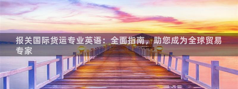 尊龙 10：报关国际货运专业英语：全面指南，助您成为全球