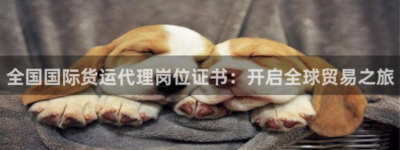 尊龙百度百科：全国国际货运代理岗位证书：开启全球贸易之旅